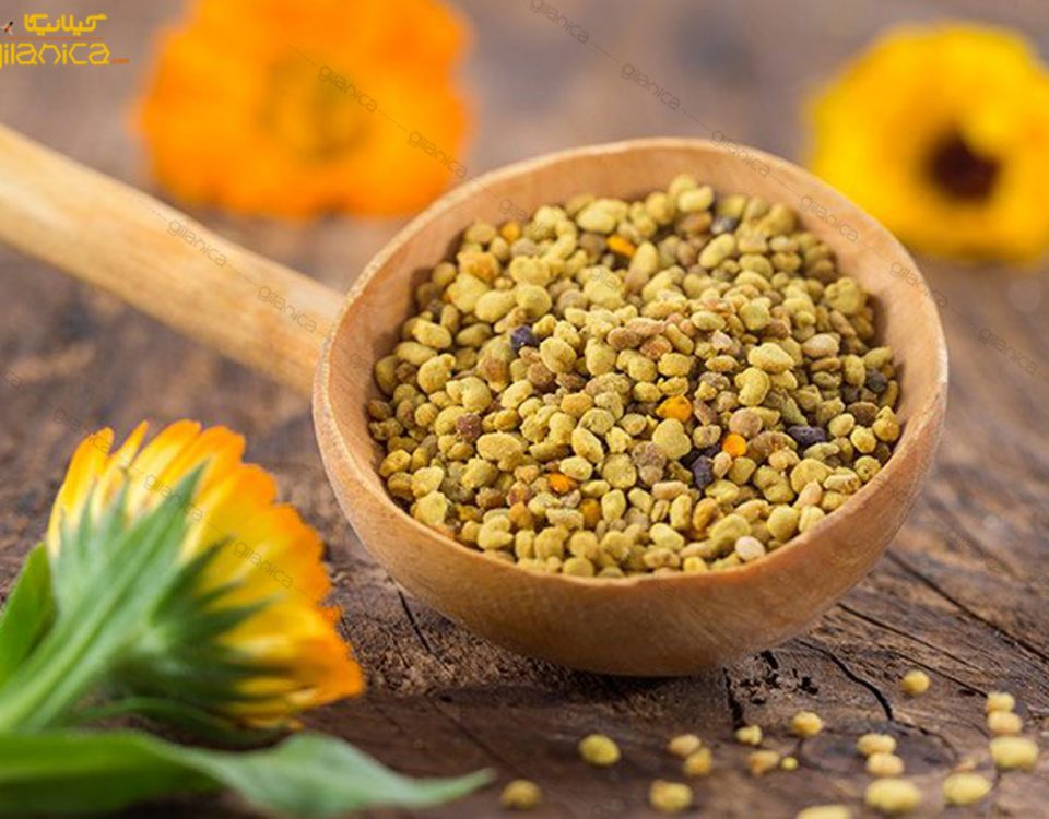 تأثیر خشک کردن با هوای گرم بر خصوصیات کیفی و فیزیکی وشیمیایی گرده زنبورعسل